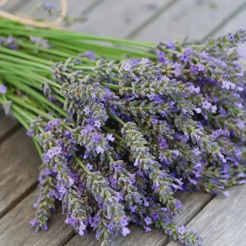 LAVENDER- 10oz. Soy Candle