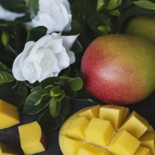 10oz. Soy Candle- MANGO GARDENIA
